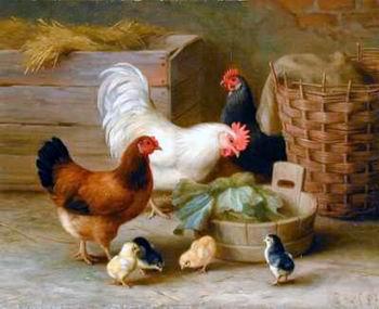unknow artist Cocks 140 china oil painting image